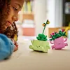 LEGO Botanicals 11506 - Dancing Little Plants - Colorful Productafbeelding-voorbeeld 19