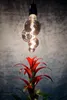 A decorative light bulb hangs above a red bromeliad plant. Produktbild-Vorschau