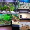 Aquarium Wurzel Red Moor XS 10-15 cm, natürliche Deko für Produktbild-Vorschau 11