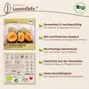 Samenliebe  Melone Samen | Cantaloupe - orange & sehr süß & Produktbild-Vorschau 3