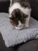 A cat is sniffing a gray blanket. Voir les images du produit