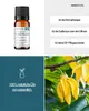 Ylang Ylang (10ml) - naturreines, ätherisches Öl von Produktbild-Vorschau 2