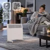 EBERG VECTO 1kW Grzejnik konwektorowy 1000 W Termostat Podgląd zdjęcia produktu 6