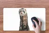 MuchoWow® Mauspad Mousepad Frettchen - Tiere - Fell 60x30 Produktbild-Vorschau 3