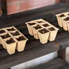 Seedling trays filled with soil and seeds on a wooden shelf. Voir les images du produit