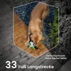 A dog playing with a toy on a wooden deck. Náhled obrázku produktu