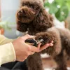 A person is trimming a brown poodle's nails with clippers. Produktbild-Vorschau