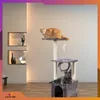 Two cats on a cat tree in a living room setting. Náhľad obrázku produktu