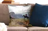MuchoWow® Zierkissen Sofakissen Wohnzimmer Dekokissen 50x50 Produktbild-Vorschau 2