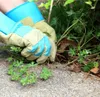 GardiREX Unkrautbürste - Upsell-Unkrautmesser Produktbild-Vorschau 6