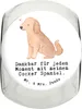 Mr. & Mrs. Panda Dose Cocker Spaniel Moment L 870ml - Weiß Produktbild-Vorschau 1
