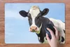MuchoWow® Schreibtischunterlage Kuh - Tiere - Porträt - Produktbild-Vorschau 3