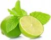 Yankee Candle Elektrische Nachfüllung Vanille-Limette Produktbild-Vorschau 5