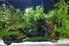 Aquarium Sand Quarzsand Natur weiß 0,5-1 mm, sauber und Produktbild-Vorschau 2