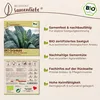 Samenliebe  Grünkohl Samen | Nero di Toscana - winterhart & Produktbild-Vorschau 3
