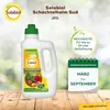 Solabiol Schachtelhalm Sud 1 Liter Produktbild-Vorschau 8