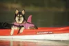 Nobby Hunde Schwimmweste Sharki rosa, Größe: XS / Größe: 25 Produktbild-Vorschau 6