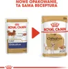 ROYAL CANIN Chihuahua - Paket 12x85g Produktbild-Vorschau 14
