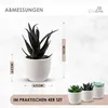 Künstliche Pflanzen Mini 4er Set Dekoration Kunstpflanzen Produktbild-Vorschau 5