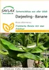 SAFLAX  - Bananier de Darjeeling - 5 graines - Musa Voir les images du produit 6