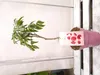 Litchi chinensis 70-100 cm Litschi Lychee Kwai May Pink Produktbild-Vorschau 5