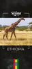 Caffè in grani 2 x 1 kg ETIOPIA 100% Arabica appena tostato Anteprima dell’immagine prodotto 2