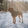 Hunter Hundemantel Nordby oliv, Größe: 40 cm Produktbild-Vorschau 4