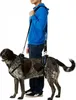 Solvit Petsafe Carelift vpředu a vzadu Náhled obrázku produktu 7