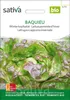 Winterkopfsalat Baquieu |  Kopfsalatsamen von Sativa Produktbild-Vorschau 3