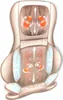 Comfier Shiatsu Massage par compression d'air Coussin de Voir les images du produit 13