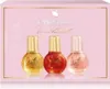 GLORIA VANDERBILT Nº 1 DISCOVERY CASE 3 Stü ck Produktbild-Vorschau 1