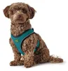 HUNTER Hundegeschirr Hilo Comfort, Farbe: türkis, Easy Produktbild-Vorschau 9
