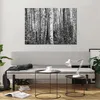Bilder auf glas - Einteilig - Birken Wald Monochrom - Produktbild-Vorschau 6