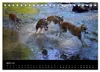 Whippets in Aktion (Tischkalender 2027 DIN A5 quer), Produktbild-Vorschau 7
