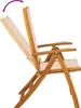 vidaXL Klapstoelen, 2 stuks, massief acaciahout en Productafbeelding-voorbeeld 7