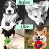 Schnüffelball für Hundespielzeug, Interaktives Spielzeug, Produktbild-Vorschau 5