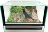 Terrario in vetro con accessori, set 30x30x20 cm per ragni Anteprima dell’immagine prodotto 8