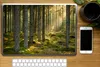 MuchoWow® Laptop Aufkleber Sticker Cover Wald - Baum - Produktbild-Vorschau 2