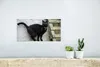 MuchoWow® Poster Katze - Schwarz - Palette - Mädchen - Produktbild-Vorschau 5