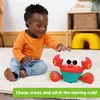 Bright Starts Rockin' Crawling Crab Rojo Vista previa de la imagen del producto 6