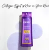 Restorex Repair & Care Shampoo Sparset (3x500ml) Produktbild-Vorschau 2