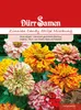 Dürr-Samen - Zinnie Candy Stripe Mix einjährig 70 cm - Produktbild-Vorschau 1