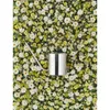 Stelton Original Blumengießkanne 1.7 l. steel Produktbild-Vorschau 9