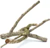BioBranch Ramo di quercia da sughero di 60 cm, diritto o Anteprima dell’immagine prodotto 7