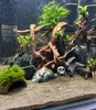 Rocce per acquario, pietre per acquario, ardesia nera Anteprima dell’immagine prodotto 5
