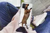 MuchoWow® Handyhülle Schutzhülle Hülle für Samsung Galaxy Produktbild-Vorschau 3