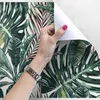 Coloray Fototapete 250x250 cm Latextapete Magicstick - Palm Produktbild-Vorschau 3