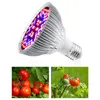 A grow light bulb and two images of tomatoes on a vine. Produktbild-Vorschau