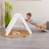 babybay Kletterleiter und Rutsche Littlefoot 2-in-1 für Produktbild-Vorschau 3