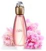 Woda Toaletowa Avon Woman Celebre 50 Ml Podgląd zdjęcia produktu 5
